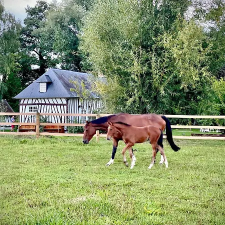 Le Clos Vildor, Maison De Charme Bordée Par La Rivière