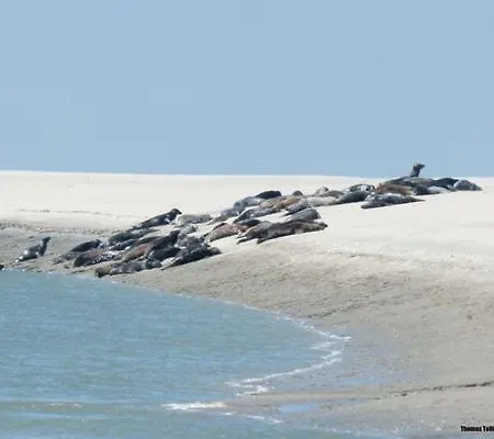 Le Clos Vildor, Maison De Charme Bordee Par La Riviere *